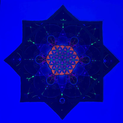 UV Double-side Harmonic Grid FlowStar | Dapo Star | Rave Festival Flow Toy